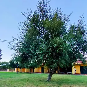 Nuraghe Ruiu & Norbello